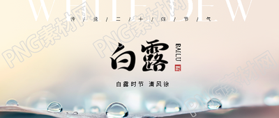 白露节气露水实景微信公众号首图