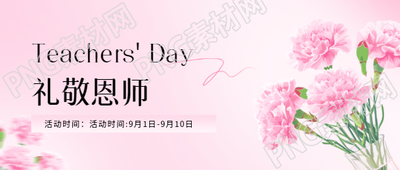 教师节康乃馨唯美微信公众号首图