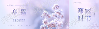 寒露时节梦幻紫色公众号封面图