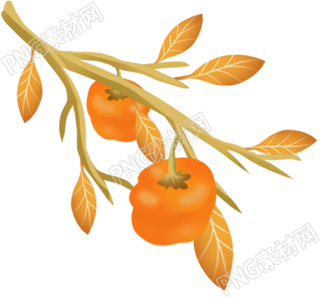 柿子