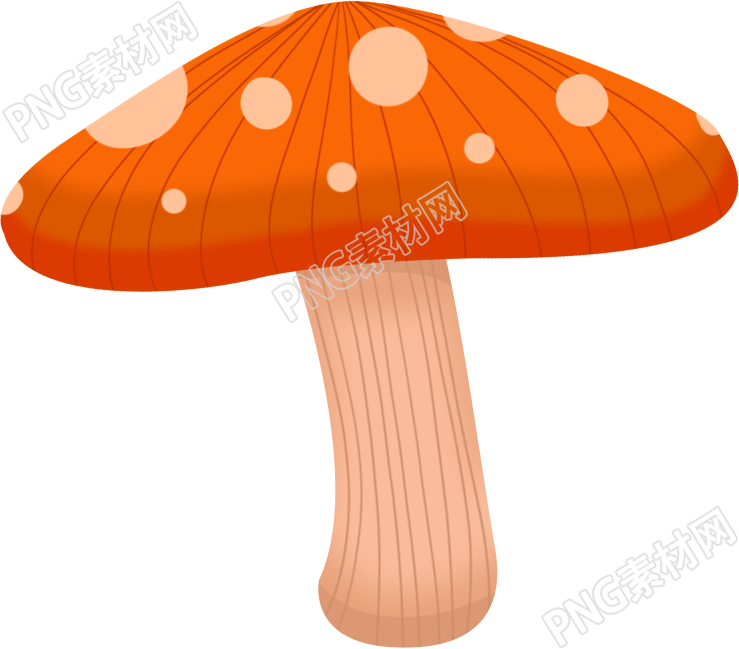秋季蘑菇素材