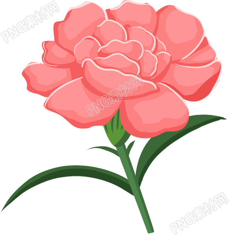 粉色鲜花花朵素材