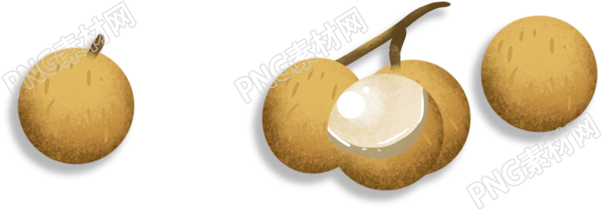 桂圆