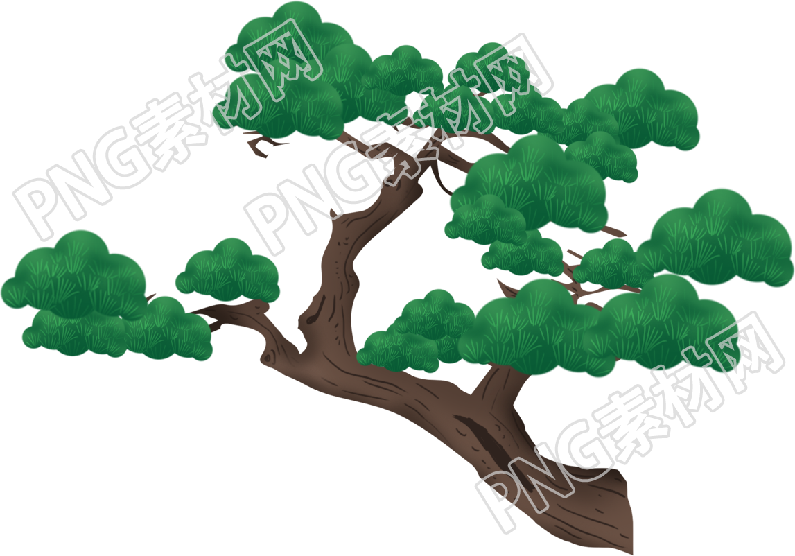 长青树重阳节素材