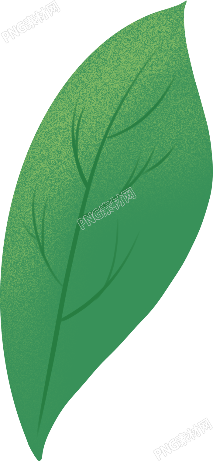 单片叶子植物素材