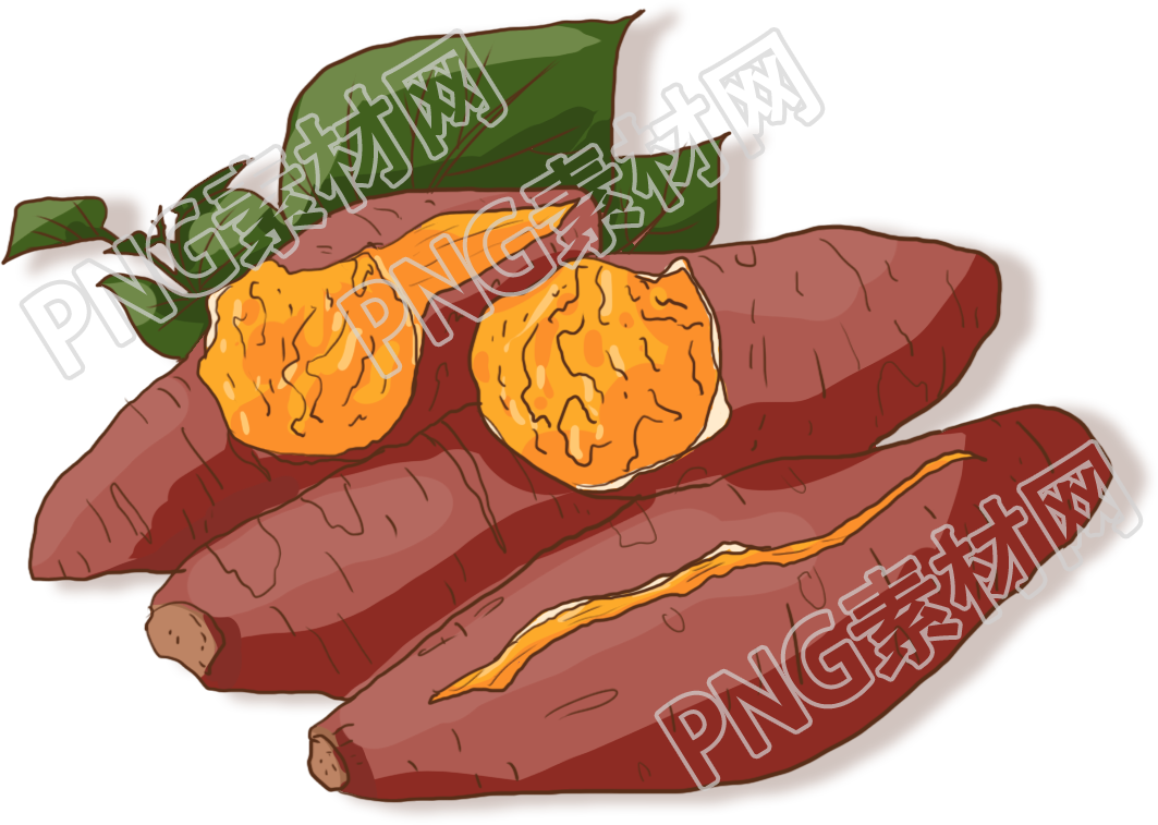红薯素材