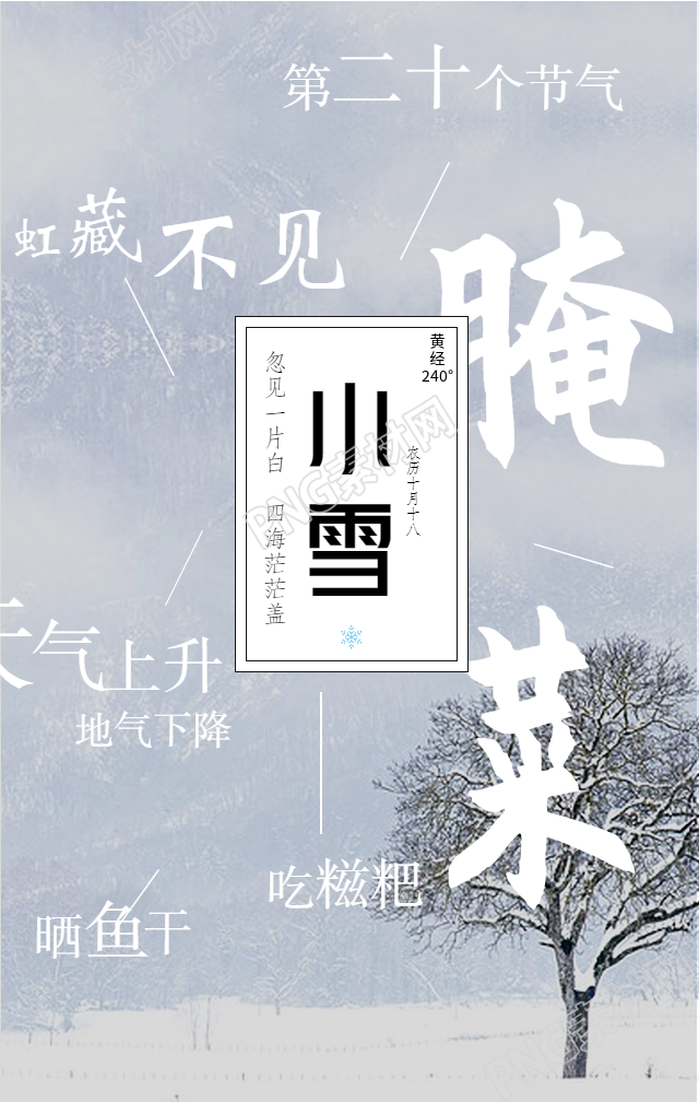 小雪节气雪景手机海报