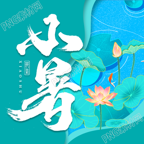 小暑荷花池塘