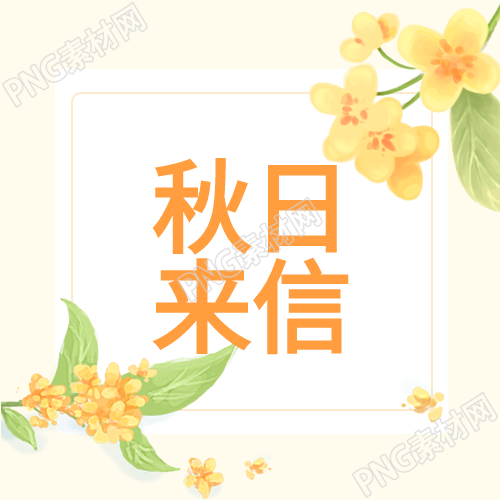 桂花金秋秋日来信