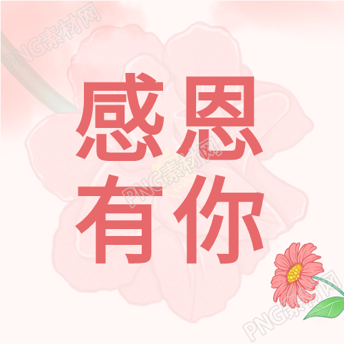 感谢有您简单美学鲜花线条公众号第二幅作品
