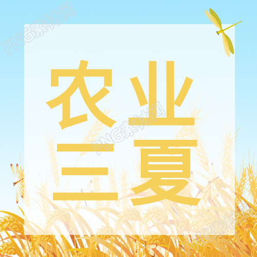 亮色系农业三夏田野蜻蜓微信公众号次图农田中的五彩蜻蜓