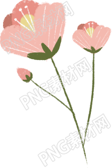 花卉养护技巧