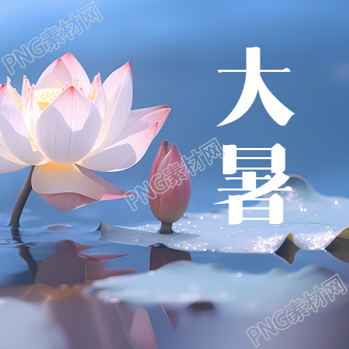 大暑节气下的荷塘月色美景