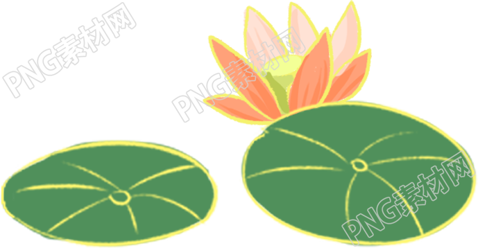 婀娜多姿的荷花令人陶醉