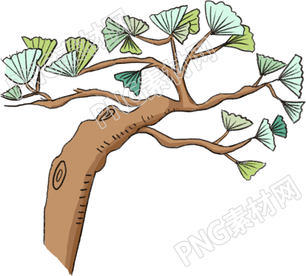 樹的生態(tài)系統(tǒng)及其重要性