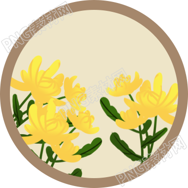 重阳节庆祝活动传统习俗与菊花的关系