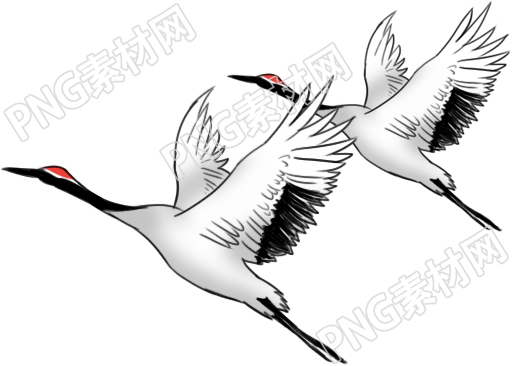 神秘之鶴