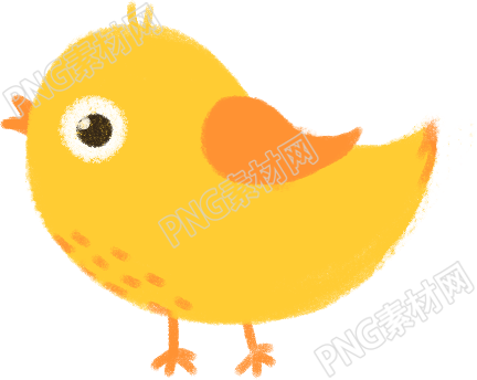 可爱小鸟