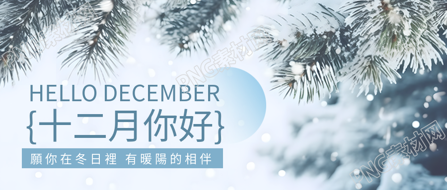美丽的冬日风光雪中松树与十二月的相遇