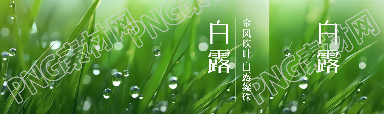 金风吹叶白露凝珠大自然实景公众号封面图