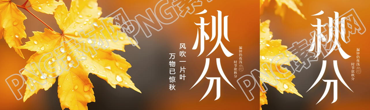 秋分节气风吹一片叶万物已惊秋公众号封面图