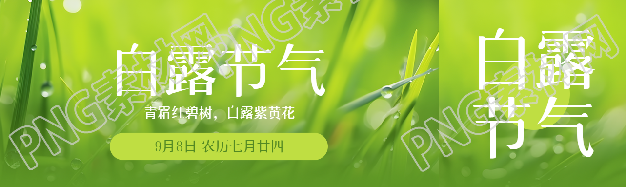 绿色的小草实景白露节气宣传公众号封面图