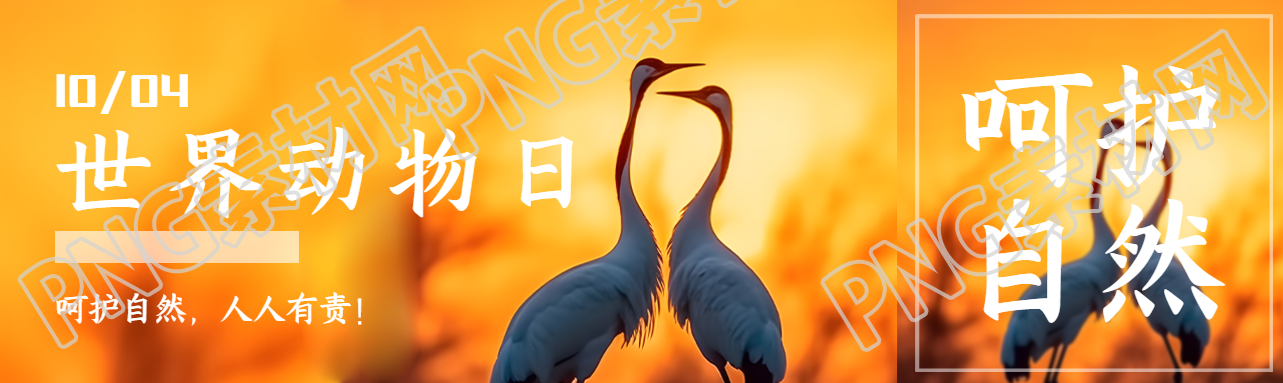 世界动物日呵护自然人人有责公众号封面图