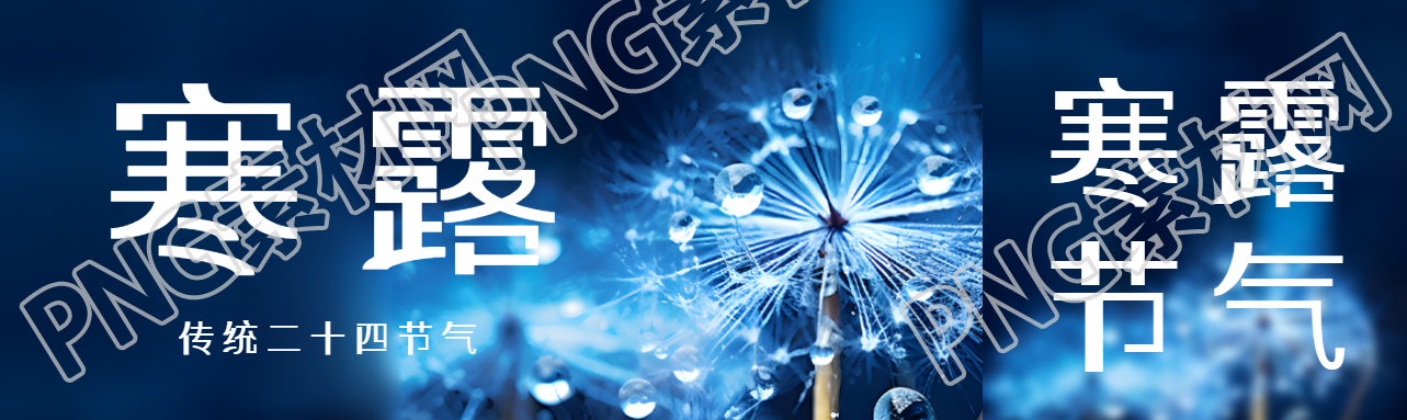 传统二十四节气寒露蒲公英实景公众号封面图