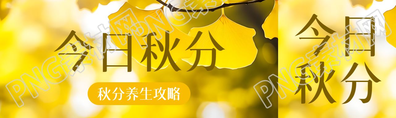 金黄色银杏叶实景今日秋分公众号封面图