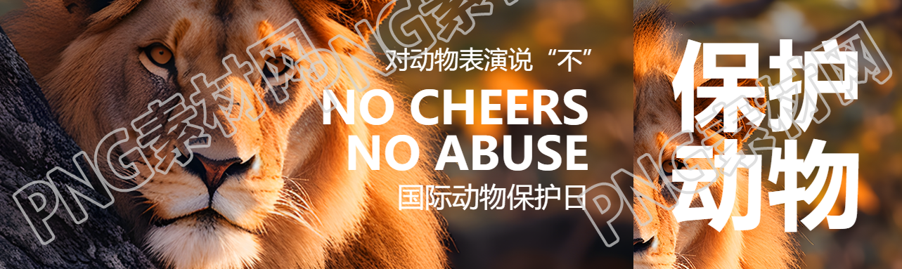 森林中的狮子实景世界动物日宣传公众号封面图