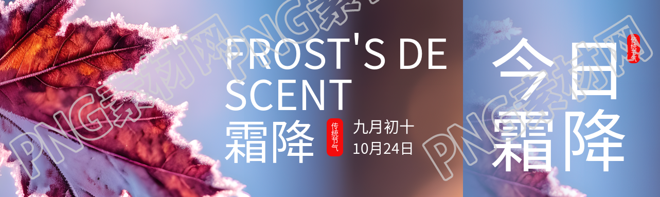 九月初十霜降时节落叶实景公众号封面图