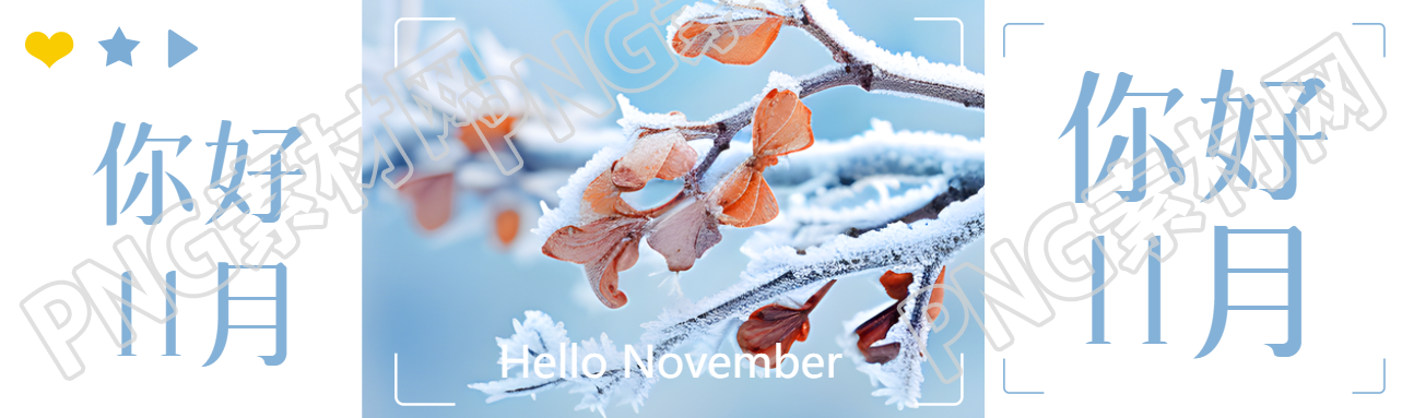 你好11月冬季树叶枝干实景公众号封面图