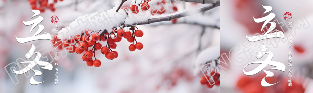 立冬节气雪景中的红浆果实景公众号封面图