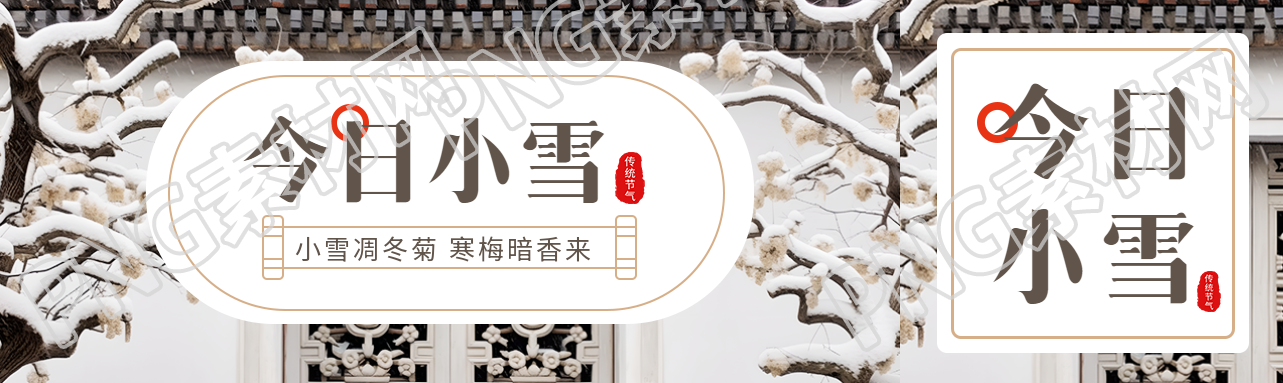 小雪凋冬菊寒梅暗香来实景宣传公众号封面图