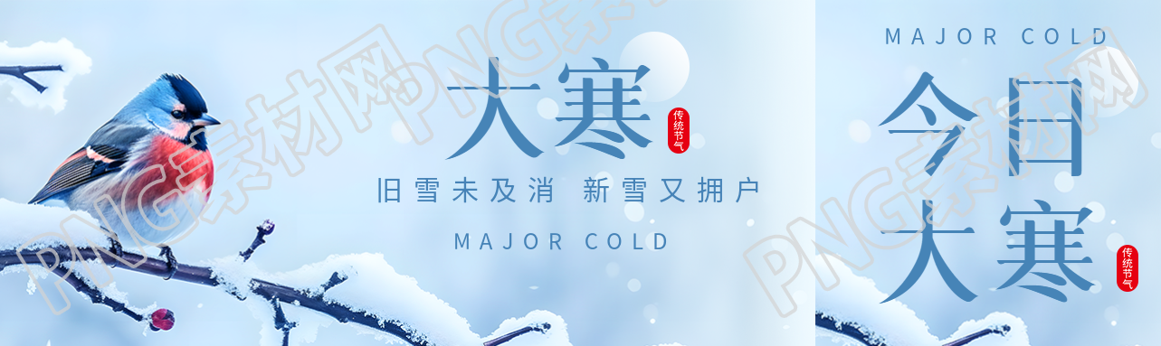 大寒时节鸟儿实景公众号封面图