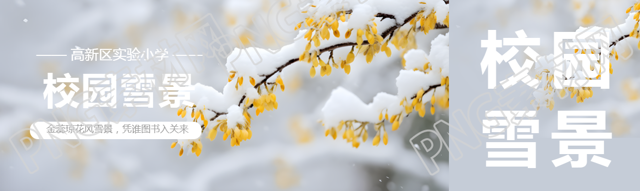 校园雪景唯美树枝公众号封面图