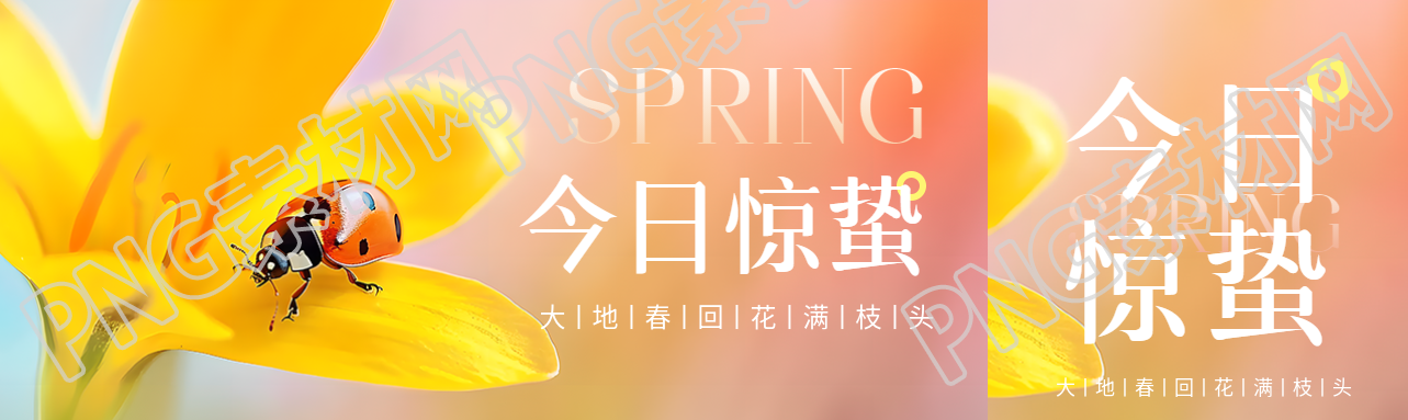 今日惊蛰唯美鲜花公众号封面图