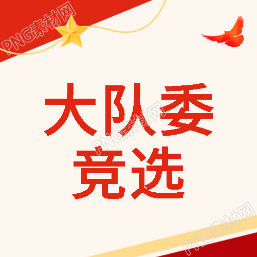 和平白鸽红色剪影大队委竞选微信公众号次图