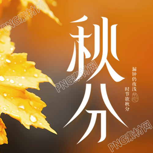 黄色枫叶实景24节气秋分微信公众号次图