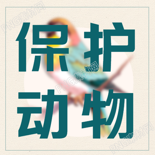 保护动物与动物和谐共生微信公众号次图