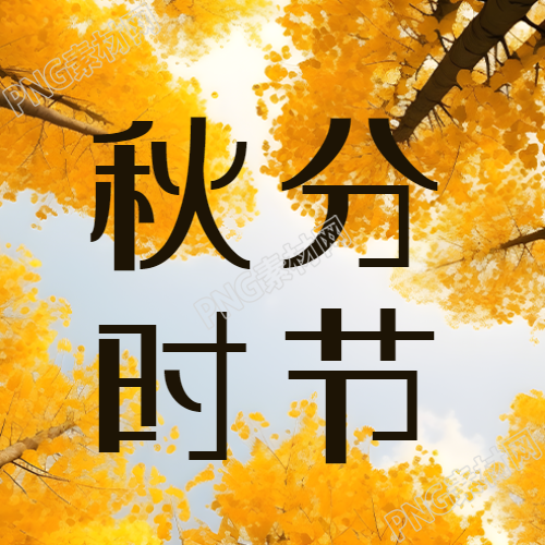 二十四节气秋分银杏林实景微信公众号次图