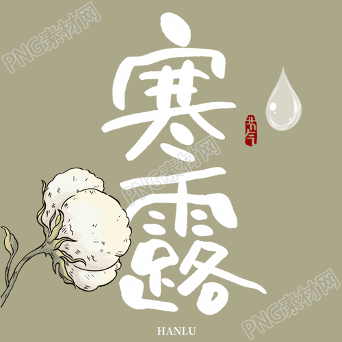 极简风棉花24节气寒露微信公众号次图