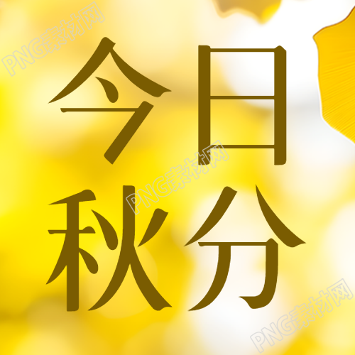 今日秋分朦胧感银杏叶微信公众号次图