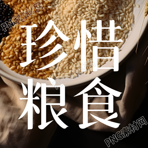 五谷杂粮实景珍惜粮食简约微信公众号次图
