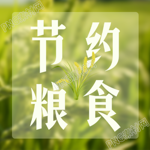 节约每一粒粮食实景简约微信公众号次图