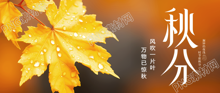 二十四节气秋分枫叶水滴实景微信公众号首图