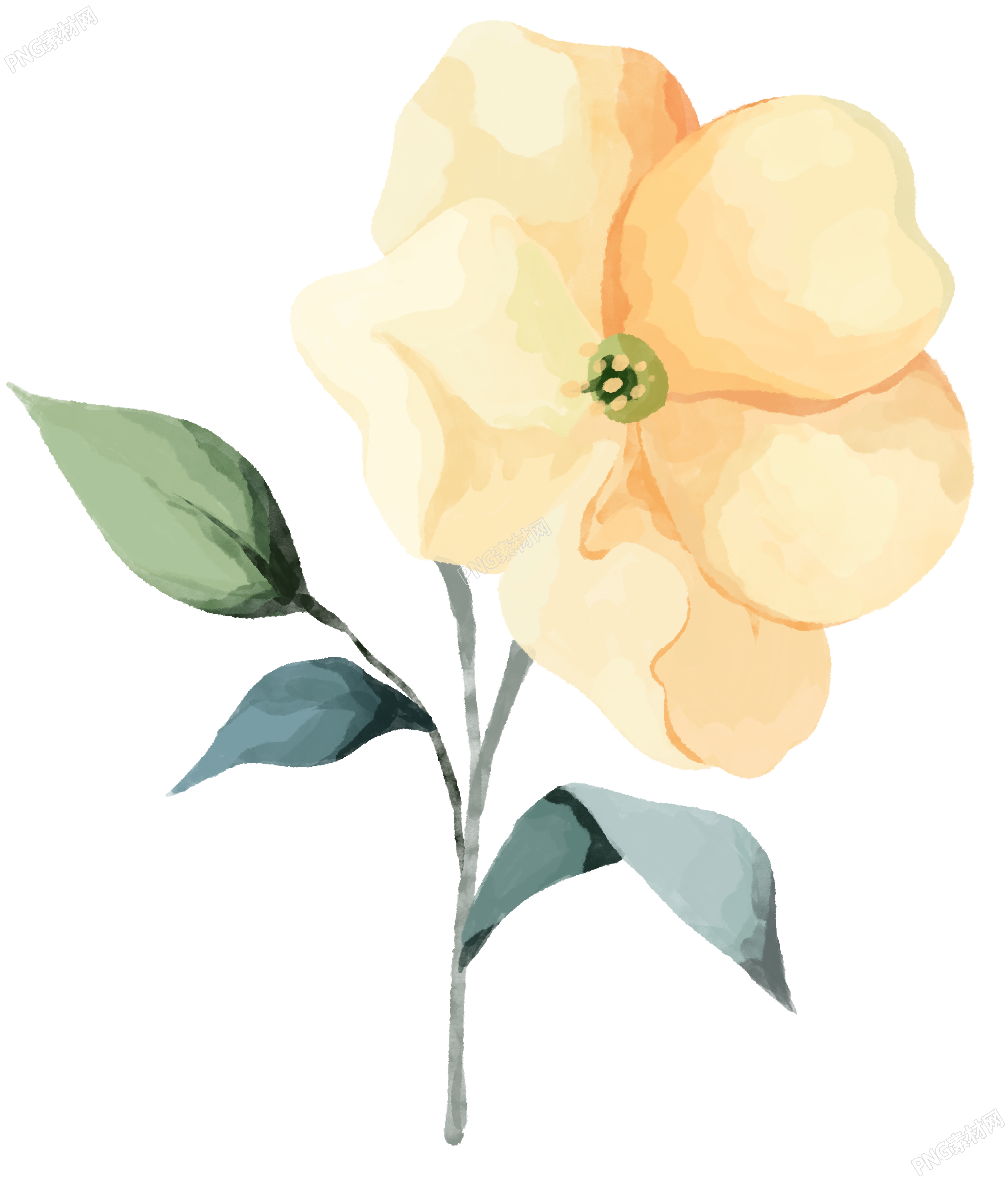 水彩风格小黄花素材