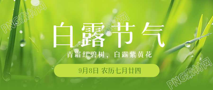 清晨带露珠的小草白露时节微信公众号首图