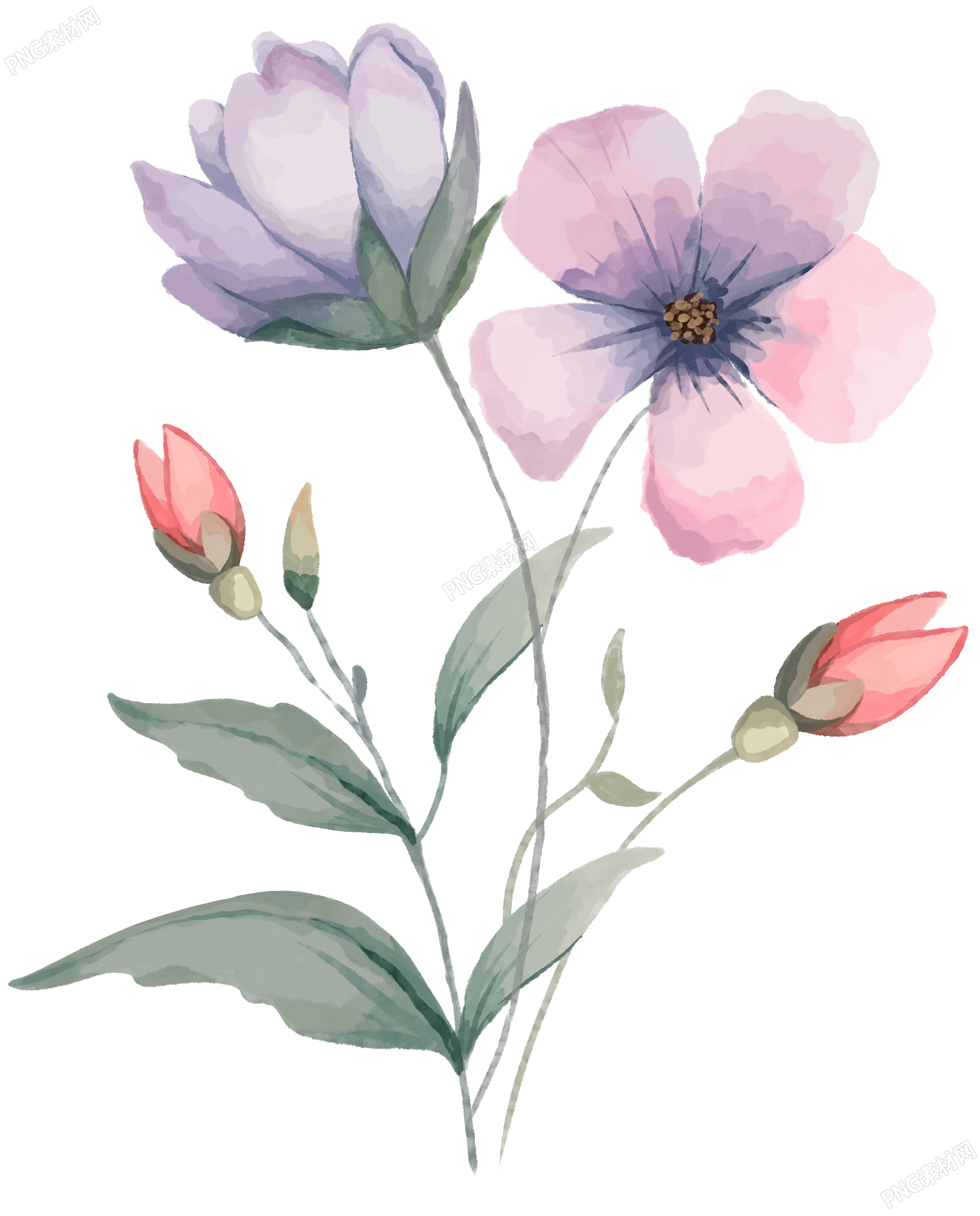 水彩风格创意花卉素材