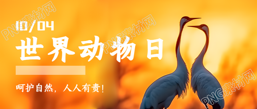 夕阳丹顶鹤实景世界动物日科普微信公众号首图
